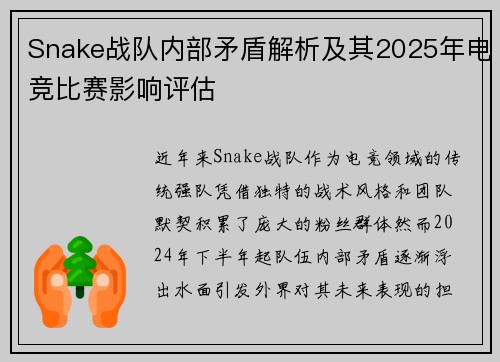Snake战队内部矛盾解析及其2025年电竞比赛影响评估