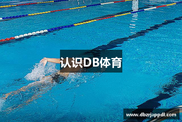认识DB体育